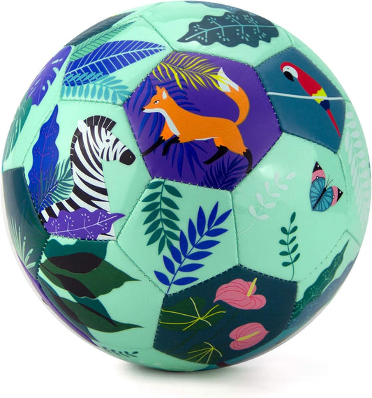 Kid and Toddler Soccer Ball - Size 1 and Size 3, Pump and Gift Box Included