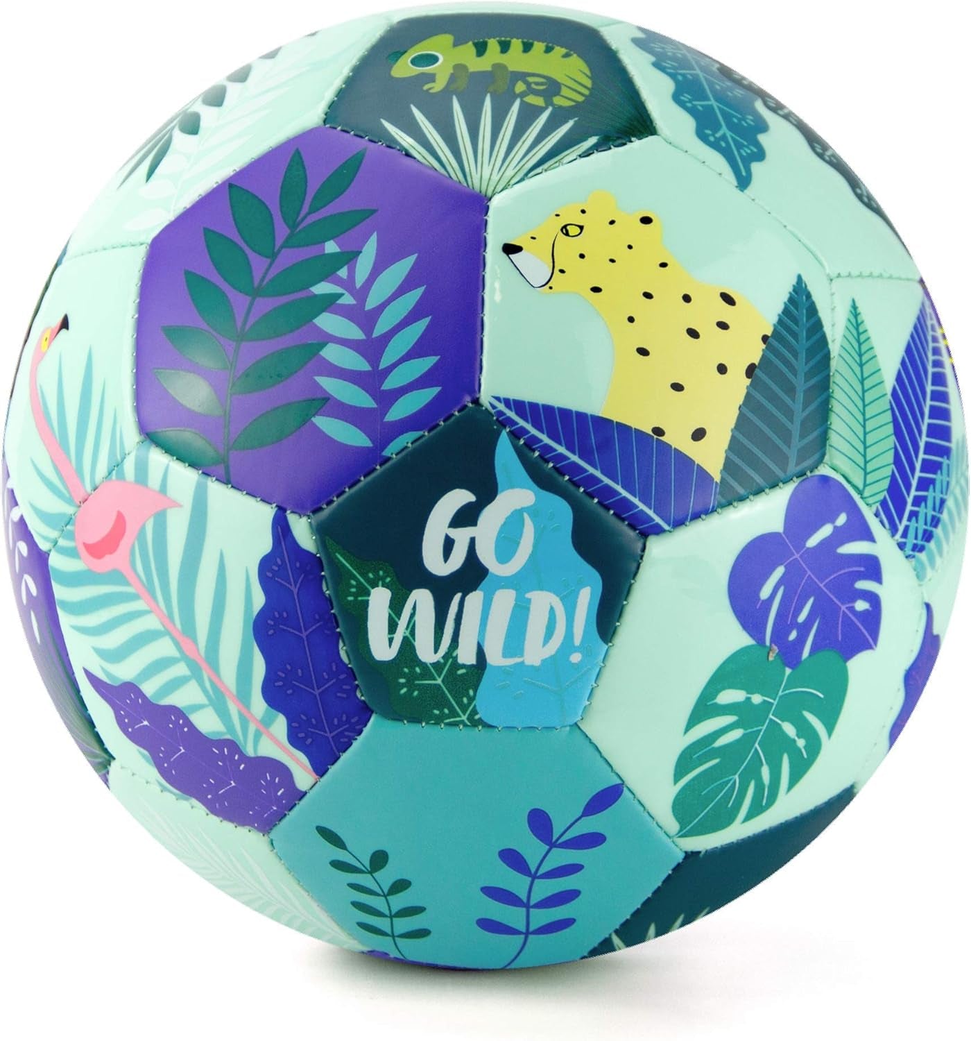 Kid and Toddler Soccer Ball - Size 1 and Size 3, Pump and Gift Box Included
