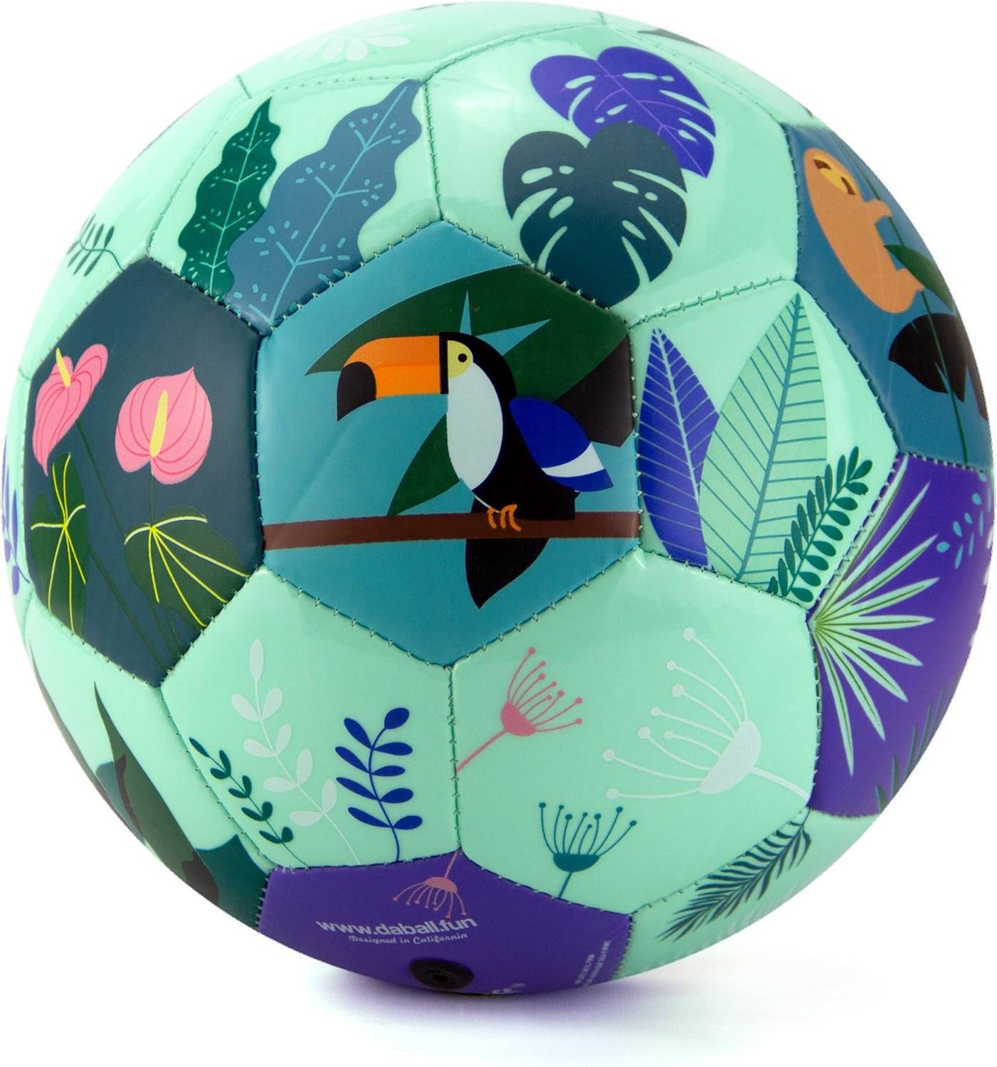 Kid and Toddler Soccer Ball - Size 1 and Size 3, Pump and Gift Box Included